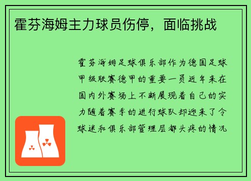霍芬海姆主力球员伤停，面临挑战