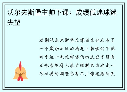沃尔夫斯堡主帅下课：成绩低迷球迷失望