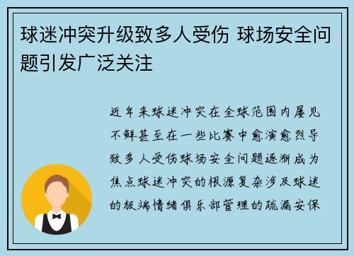 球迷冲突升级致多人受伤 球场安全问题引发广泛关注