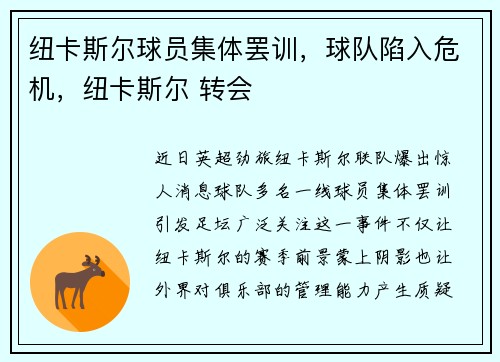 纽卡斯尔球员集体罢训，球队陷入危机，纽卡斯尔 转会