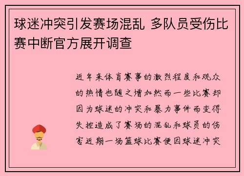 球迷冲突引发赛场混乱 多队员受伤比赛中断官方展开调查